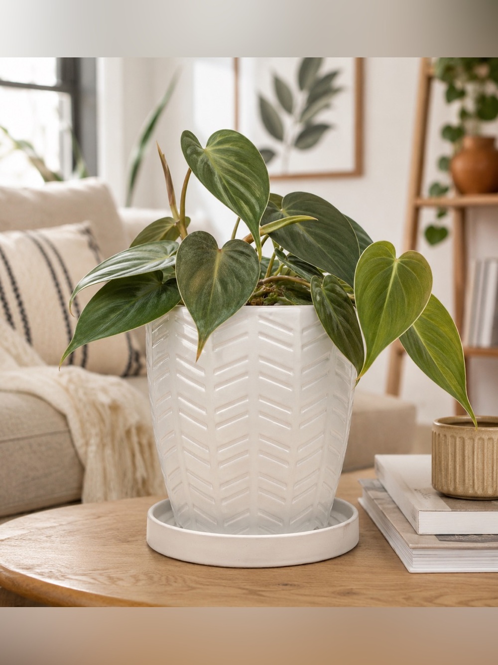 White Ceramic Planter with Drainage Hole and Saucer, 6 Inch Chevron Texture Pot